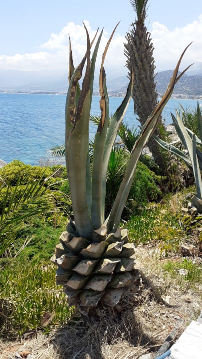 Außenansicht Nana Golden Beach