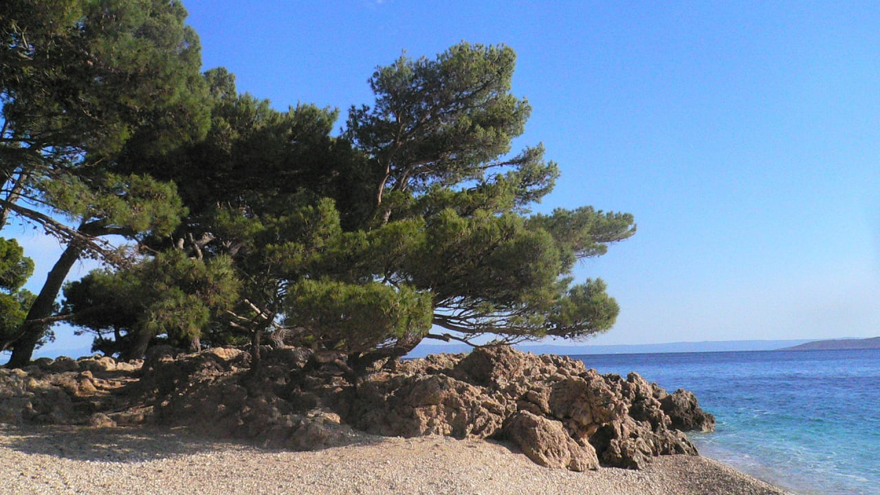 Spaziergang Bluesun Hotel Soline