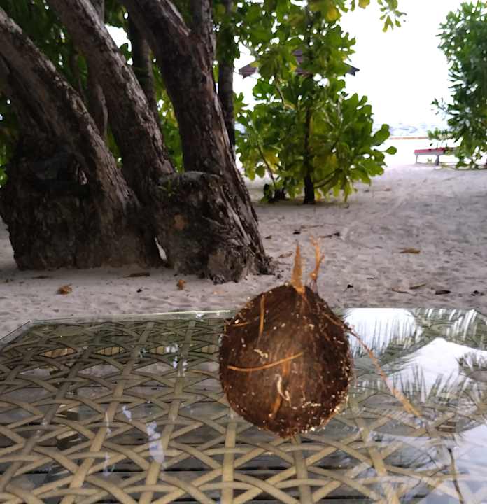 Sonstiges Ellaidhoo Maldives by Cinnamon
