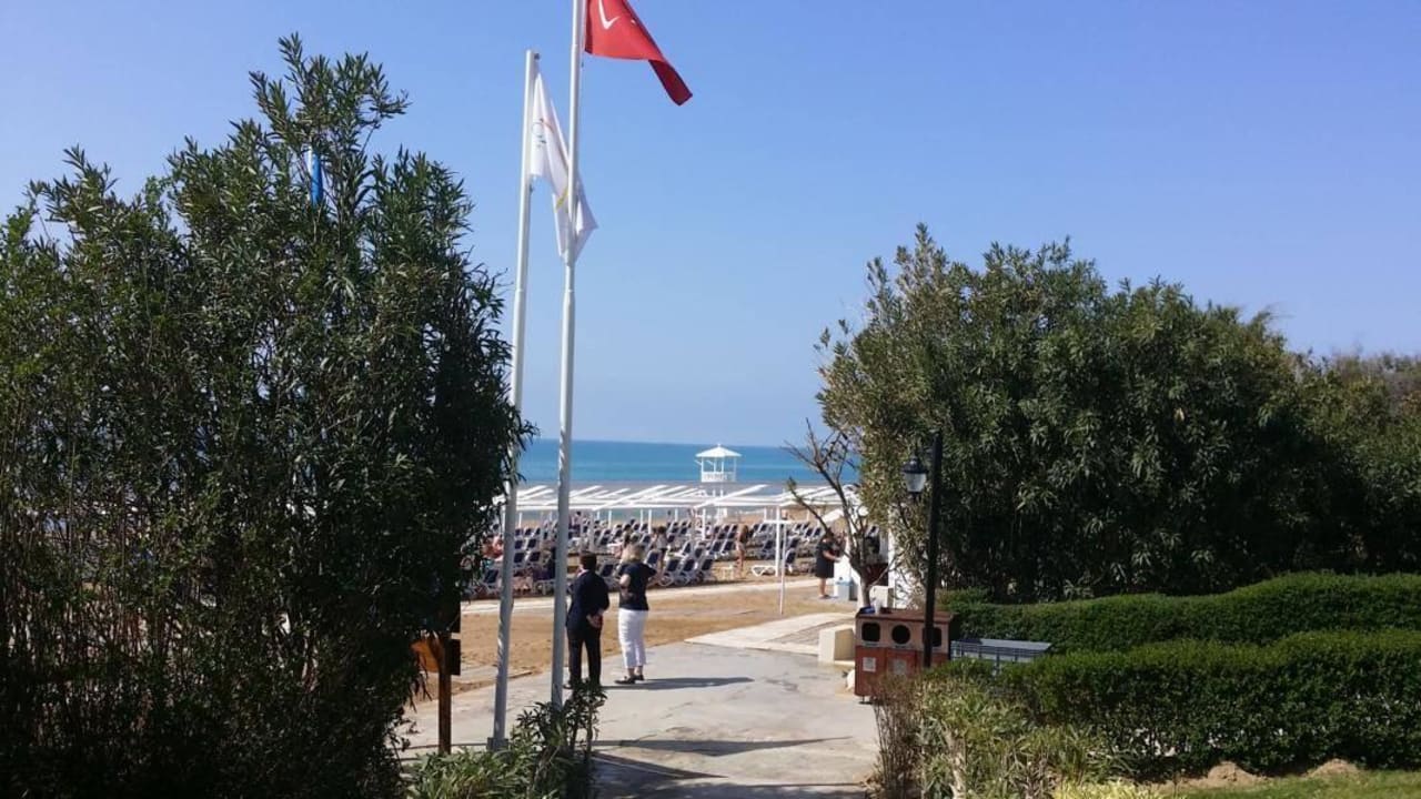 Hotel Alba Queen Alba Queen Hotel