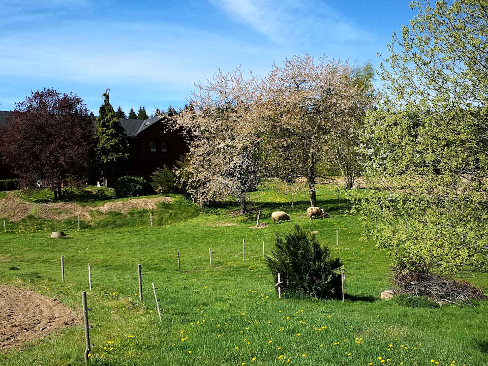 Gartenanlage Pumphut's Scheune - Ferienwohnungen