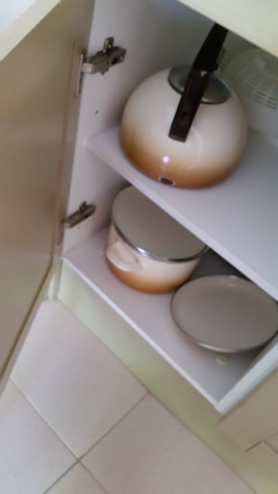 Aneks blau punta reina