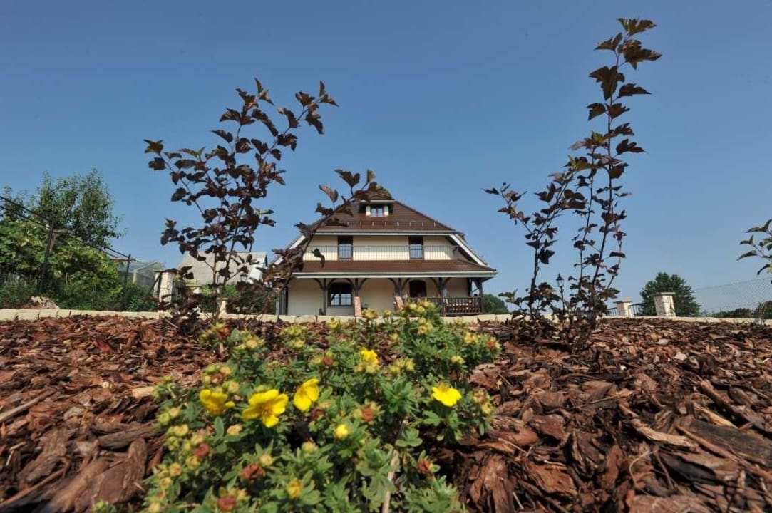 ... Quo Vadis Lounge Bed & Breakfast