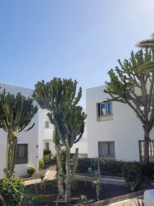 Außenansicht Hotel Floresta