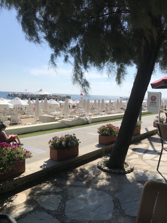 Strand Arum Barut Collection
