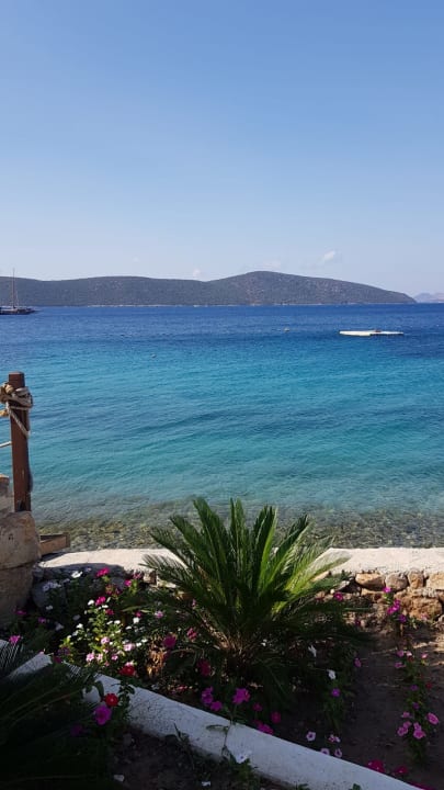 Ausblick TUI MAGIC LIFE Bodrum - Adult Only (16+)