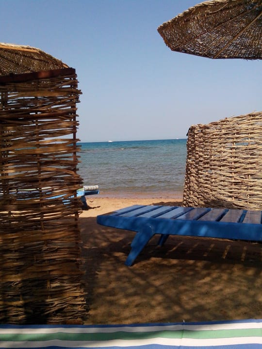 На пляже Ali Baba Palace Hotel