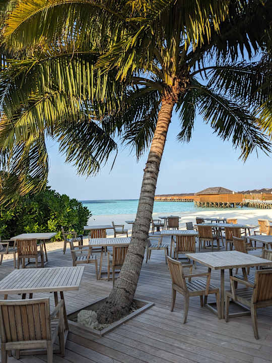 Gastro Vilamendhoo Island Resort & Spa