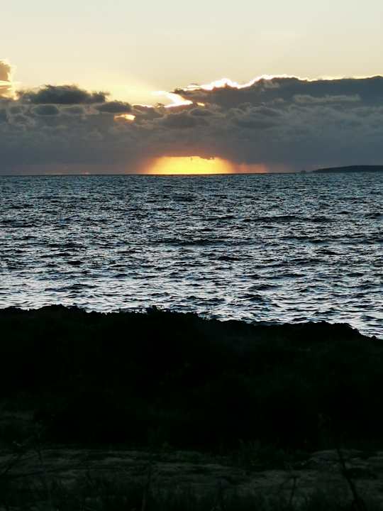 Strand AluaSoul Palma