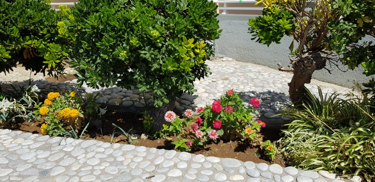 Gartenanlage Hotel Kathrin Beach