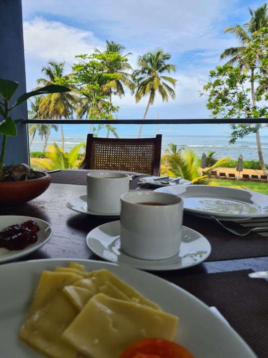 Gastro Earl’s Reef Beruwala