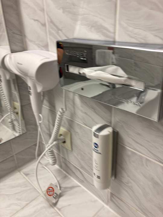 Zimmer Best Western Parkhotel Brehna - Halle