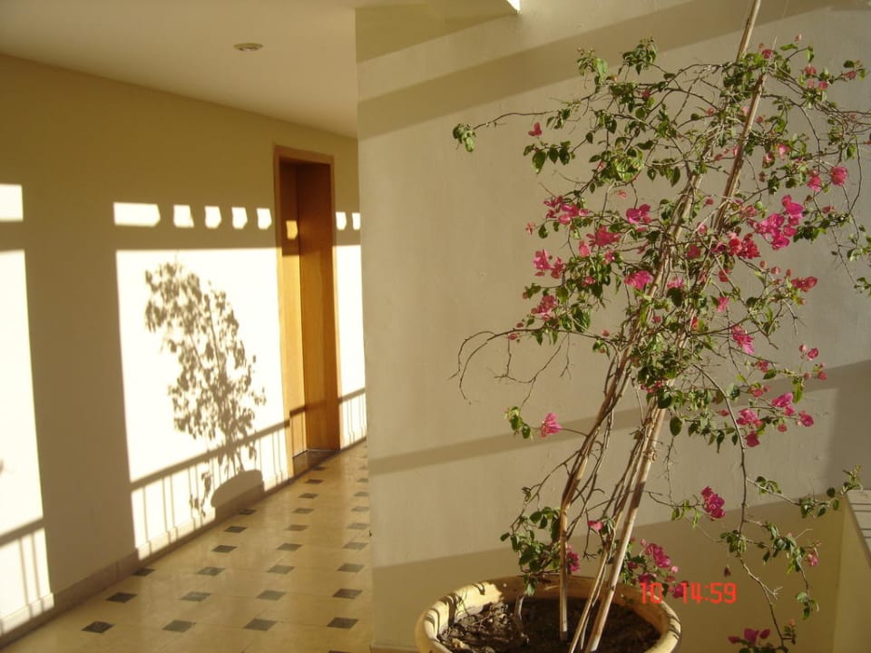 Hotelflur SUNRISE Holidays Resort (Adults Only)
