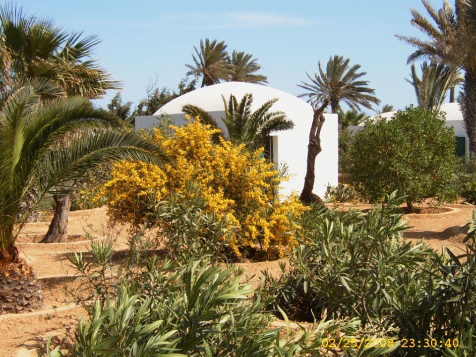 Ein Teil des herrlichen Gartens Hotel Sangho Club Zarzis