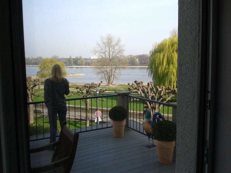 Von der Terrasse Villahotel Rheinblick