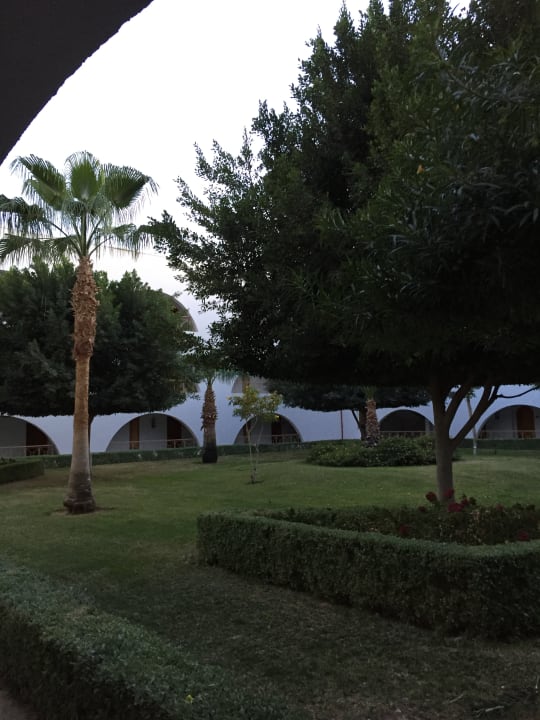 Gartenanlage Desert Rose