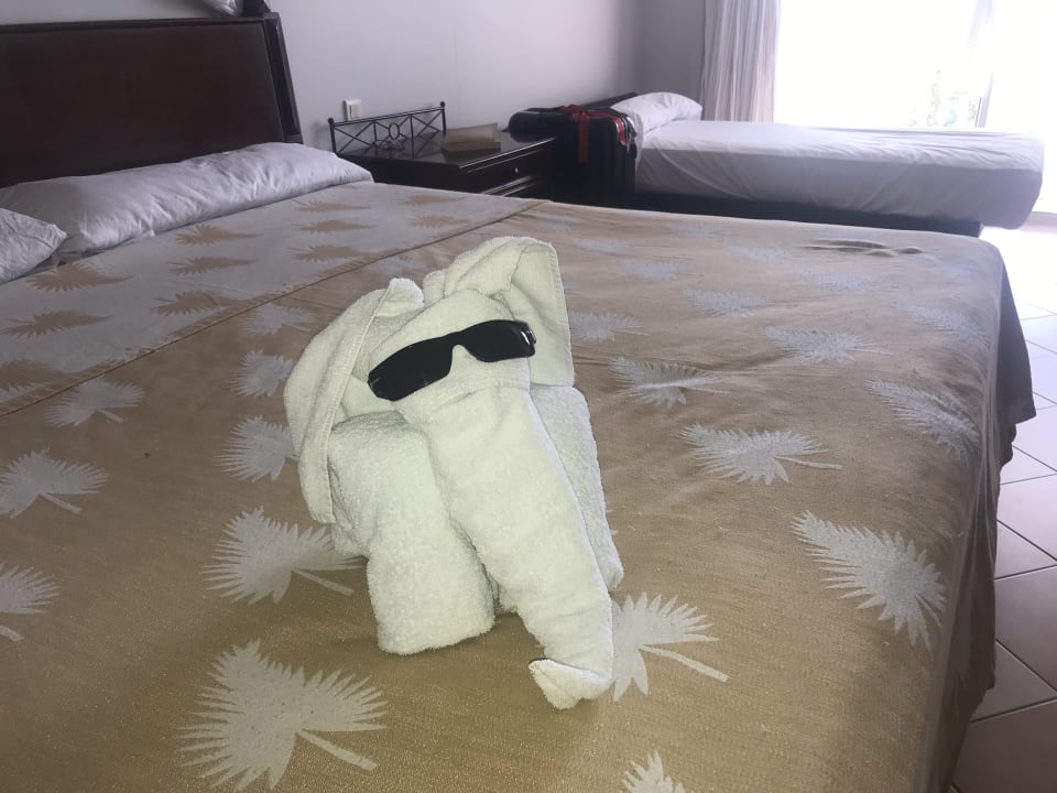 Zimmer Melia Las Dunas