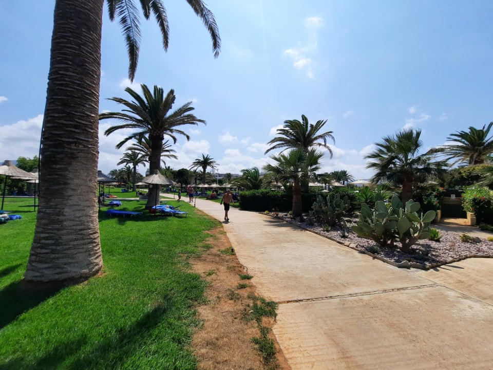 Gartenanlage Anissa Beach & Village