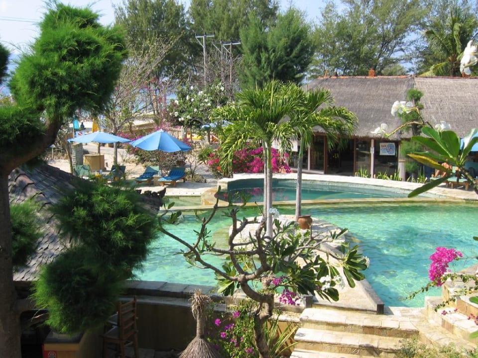 Pool und Diving Acadamy Hotel Vila Ombak