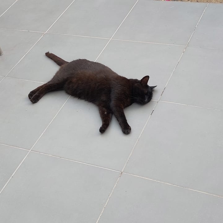 Sonstiges Hotel Hyde Park Lane