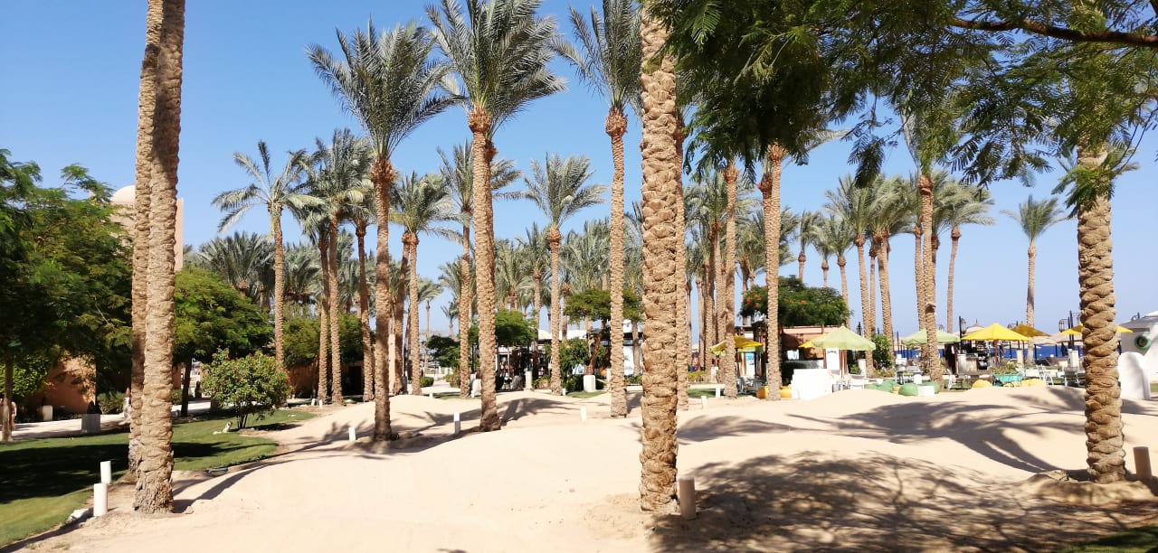 Gartenanlage Makadi Palace