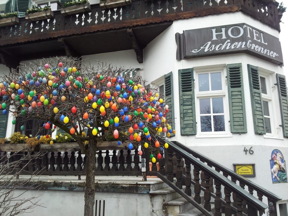Hotel Aschenbrenner mit Osterbaum Hotel Aschenbrenner