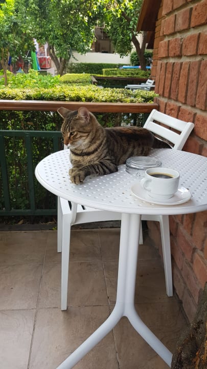 Zimmer Can Garden Beach