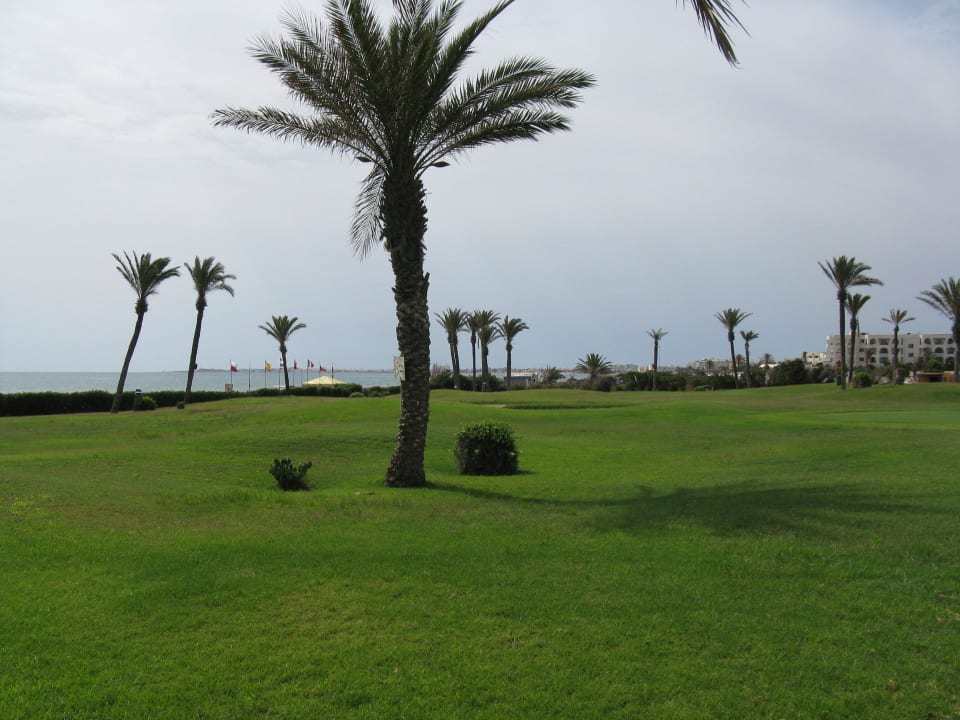 Pole golfowe Nour Palace Resort & Thalasso