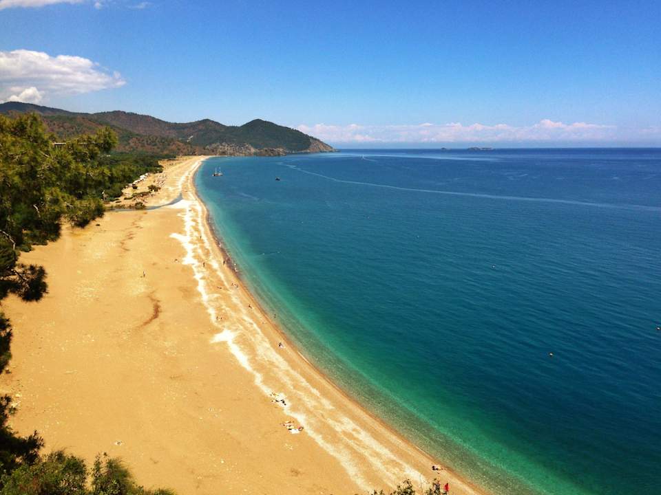 Beach Hostel Kadir's Top Tree Houses