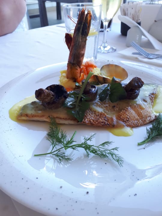 Gastro TUI MAGIC LIFE Beldibi +16