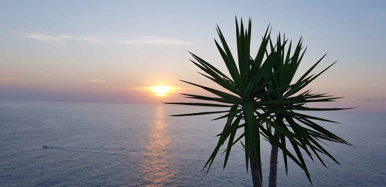 Ausblick Jumeirah Port Soller Hotel & Spa