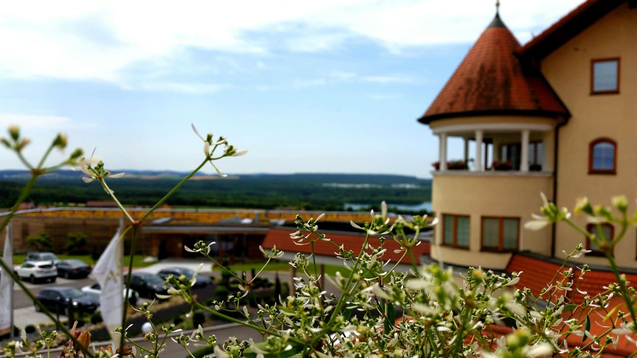 Landhotel Birkenhof Der Birkenhof - Spa & Genuss Resort
