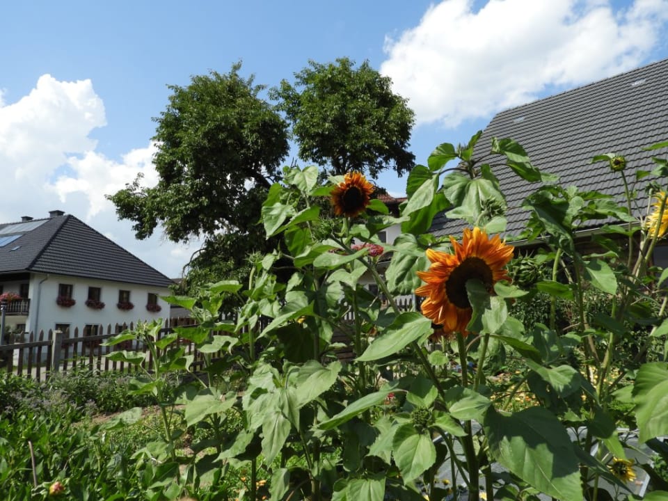 Gartenanlage Bauernhof Grainmeisterhof