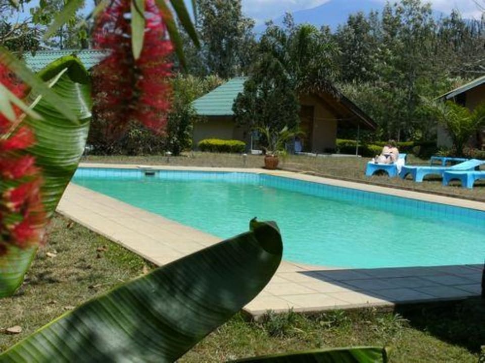Entspannen am Lodge - Pool Meru View Lodge