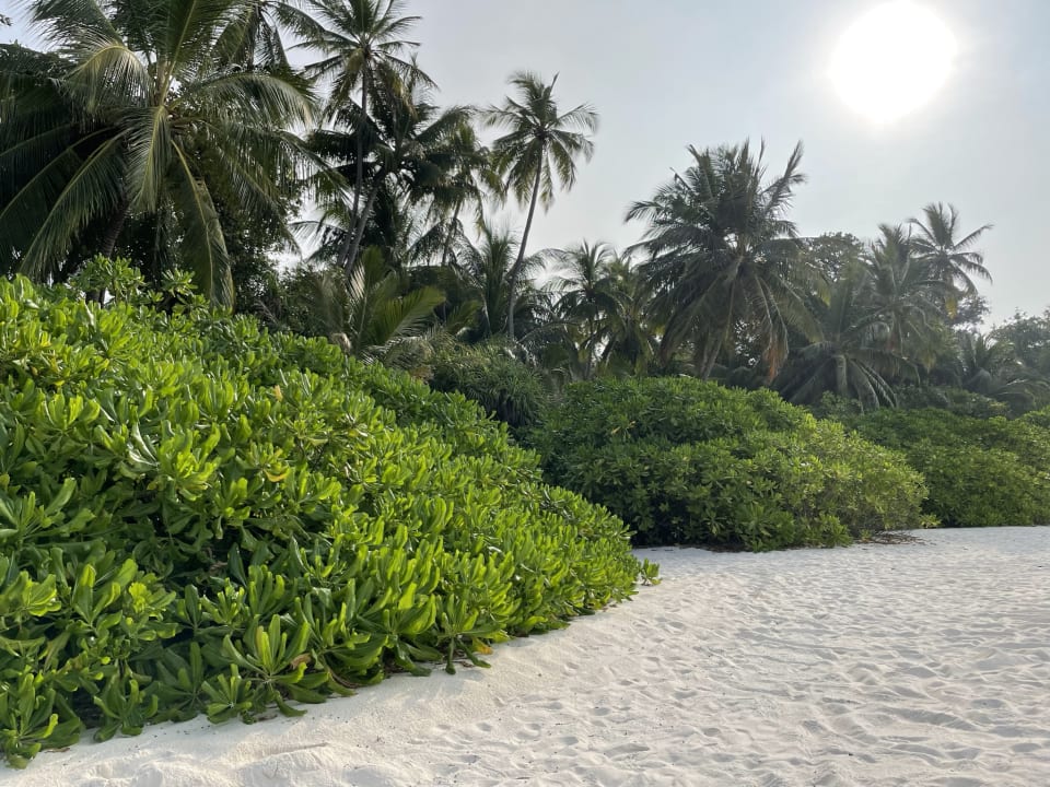 Strand Kuramathi Maldives