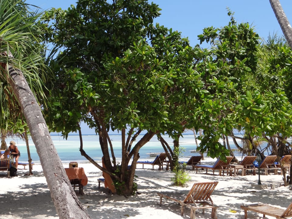 Keine Schirme - nur Bäume spenden Schatten Neptune Pwani Beach Resort & Spa