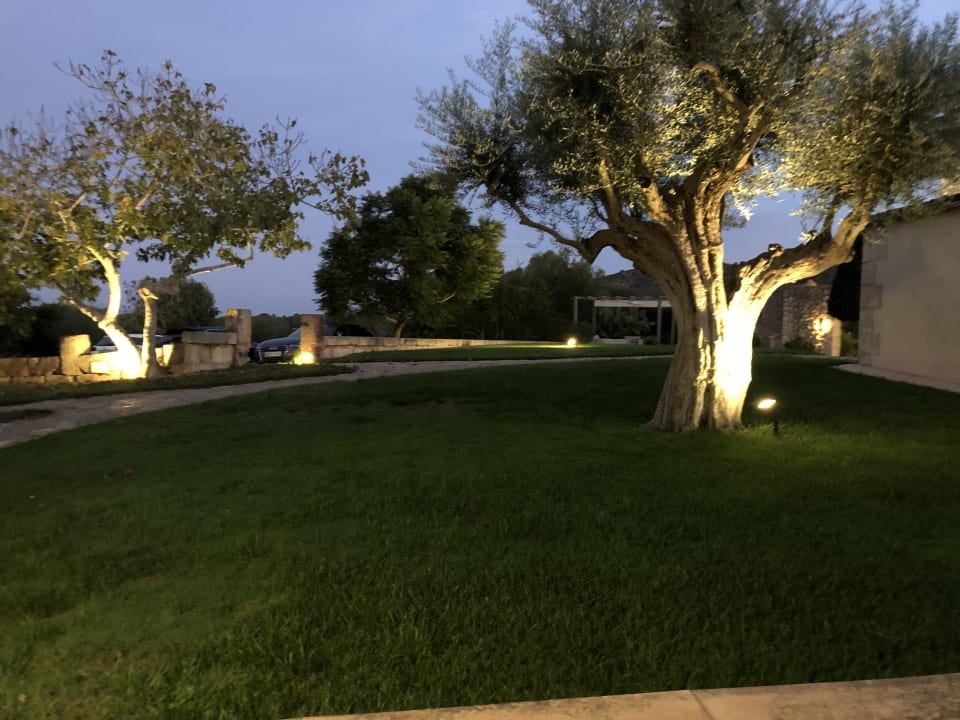 Gartenanlage Principal Son Amoixa