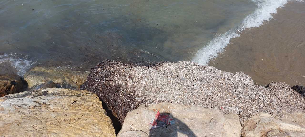 Strand Side Story Resort & Spa