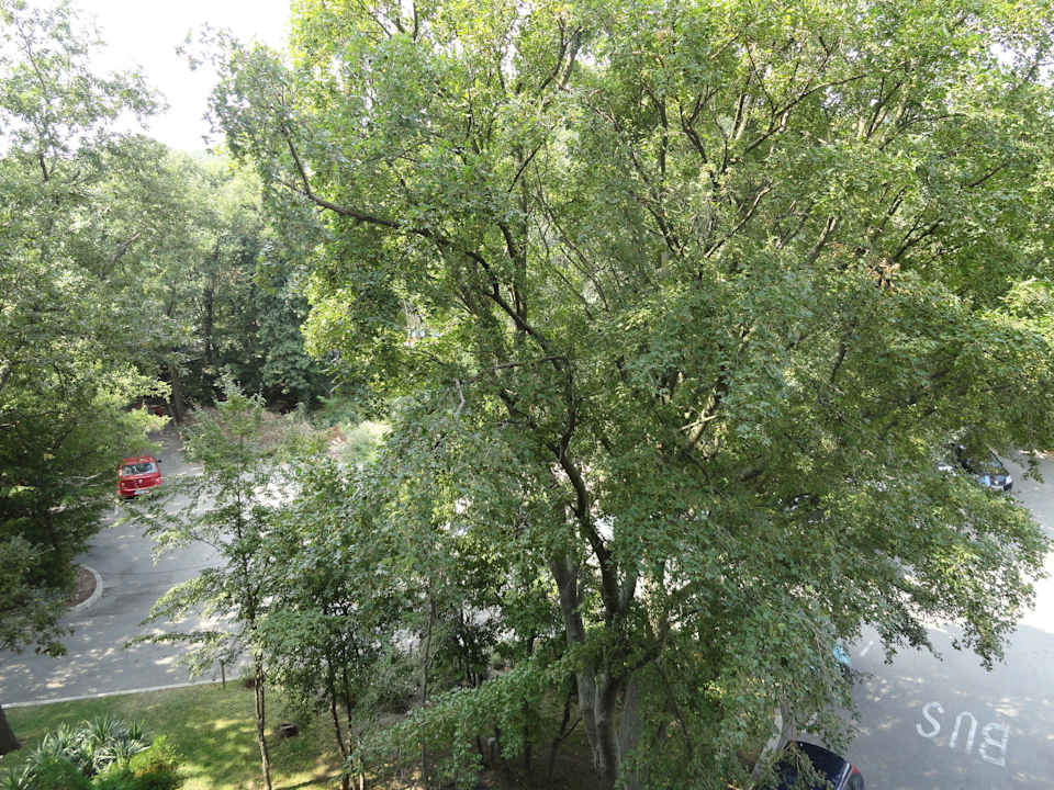 Ausblick von unserem Balkon (3. Stock) HVD Viva Club Hotel