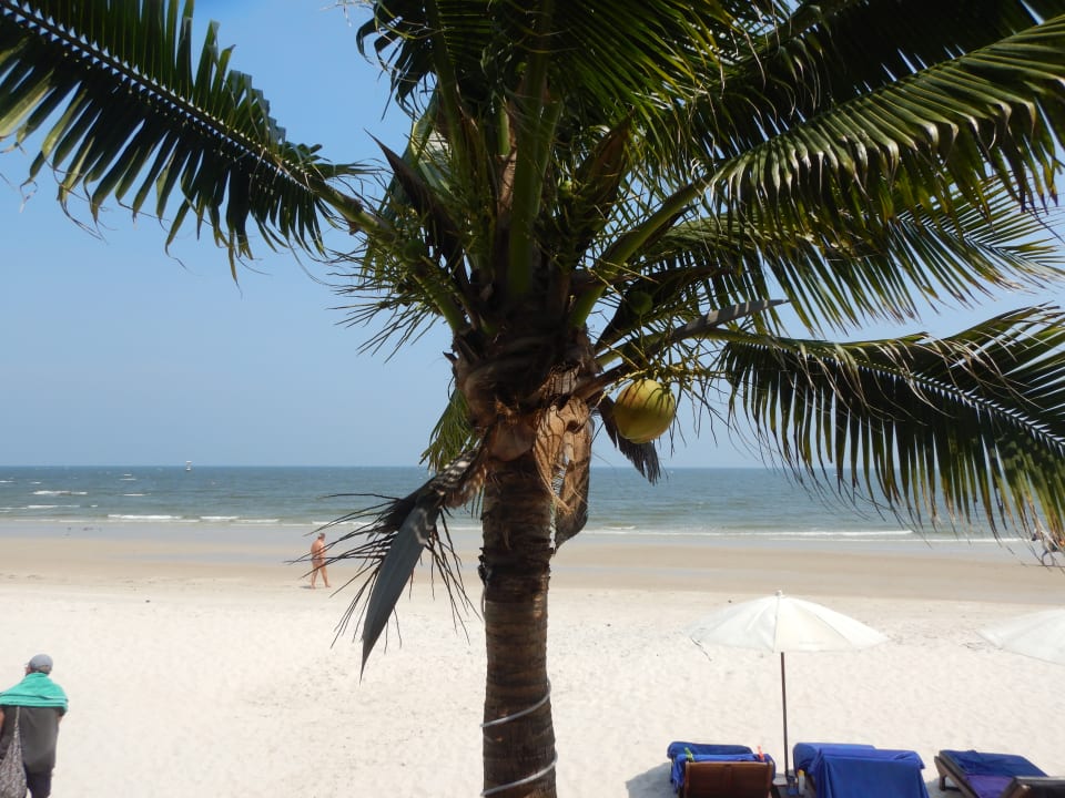 Ausblick Laksasubha Hua Hin