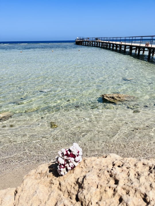 Strand Pickalbatros Sands Hotel - Port Ghalib