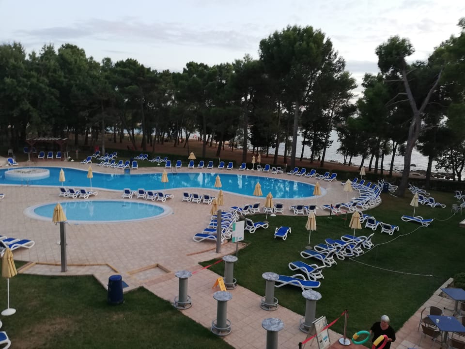 Pool Hotel Aurora Plava Laguna