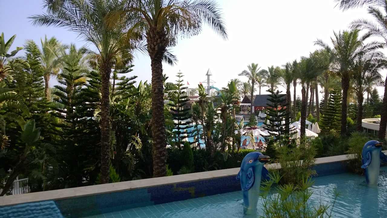 Diva Delphin Hotel Delphin Diva