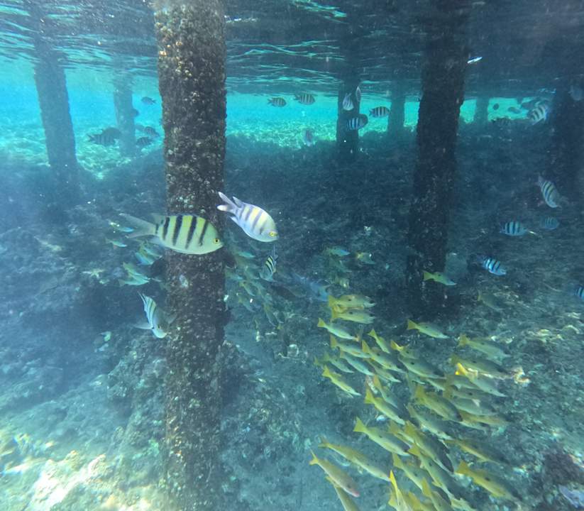 Sonstiges Three Corners Happy Life Beach Resort