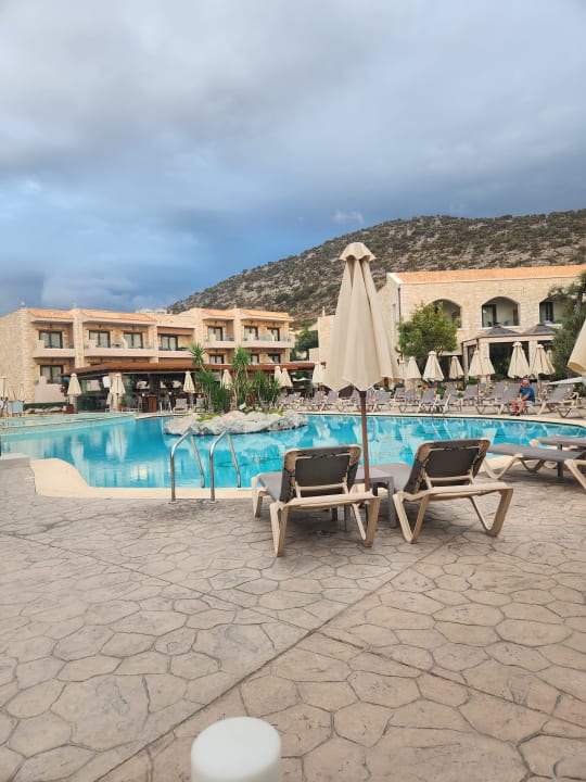 Pool Cactus Royal