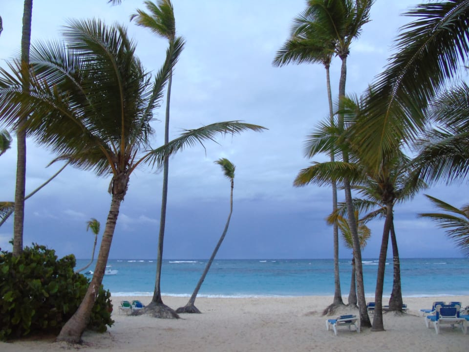 Strand Hotel Riu Palace Macao - Adults only