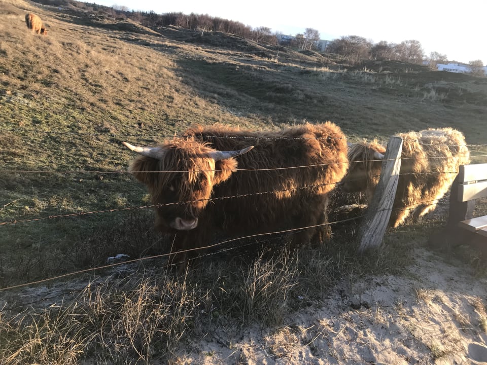 Sonstiges Ferienwohnungen Ferienpark Weissenhäuser Strand