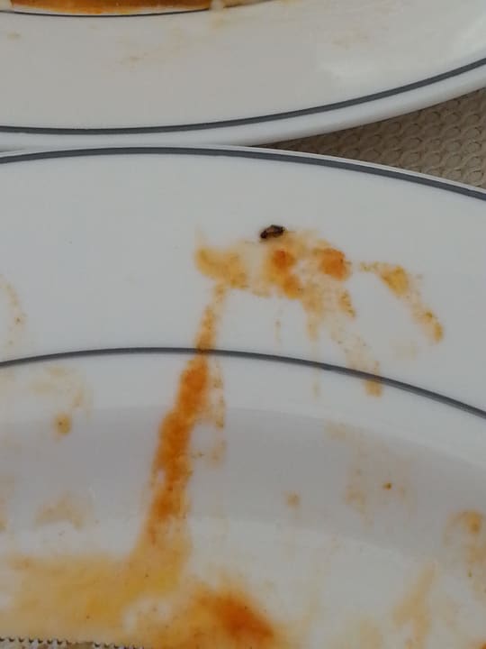 Tomatensoße Nerton Hotel - Erwachsenenhotel ab 16 Jahren