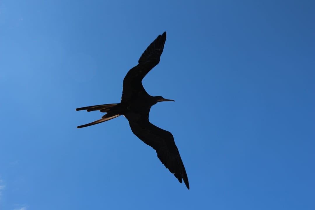 Cr5 Hotel Riu Palace Costa Rica