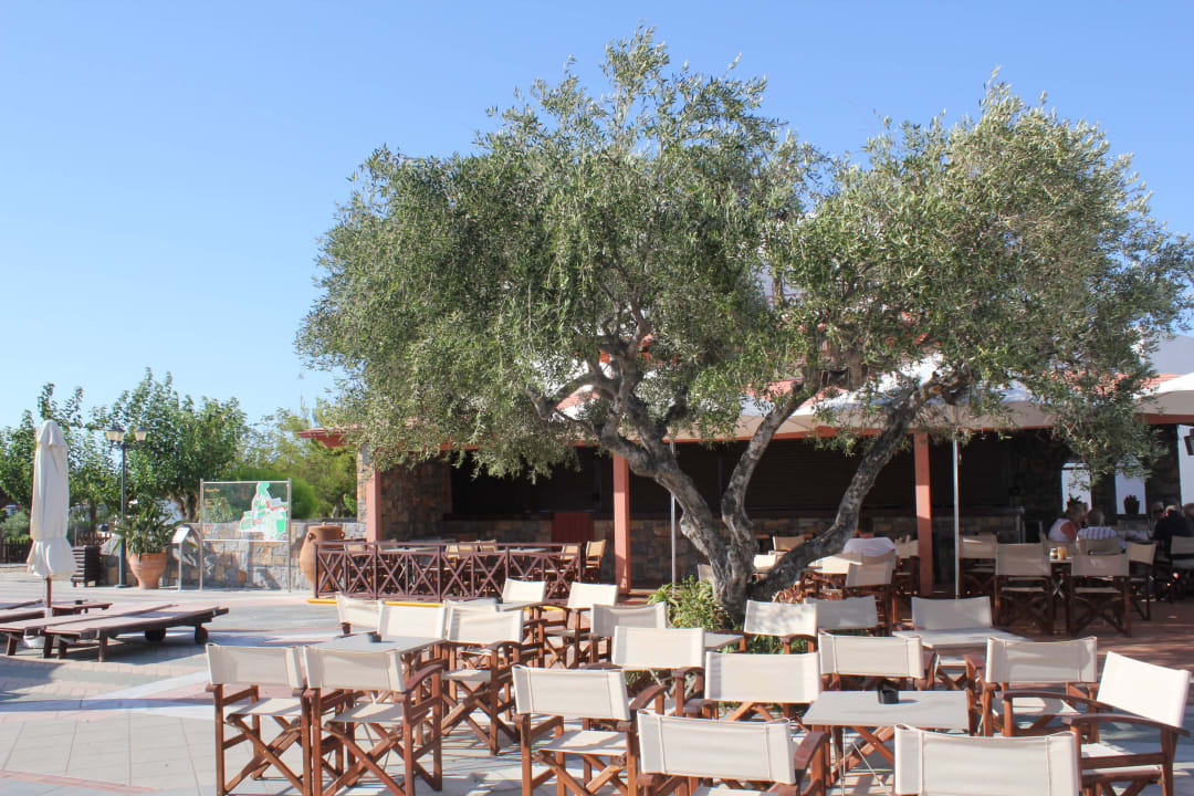 Barbereich im oberen Gebäude Creta Maris Resort